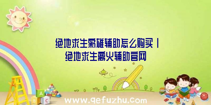 「绝地求生枭雄辅助怎么购买」|绝地求生离火辅助官网